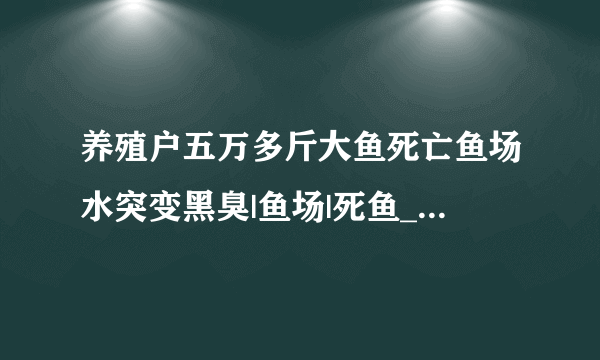 养殖户五万多斤大鱼死亡鱼场水突变黑臭|鱼场|死鱼_飞外新闻