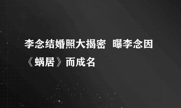 李念结婚照大揭密  曝李念因《蜗居》而成名