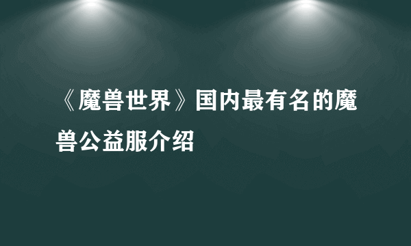 《魔兽世界》国内最有名的魔兽公益服介绍