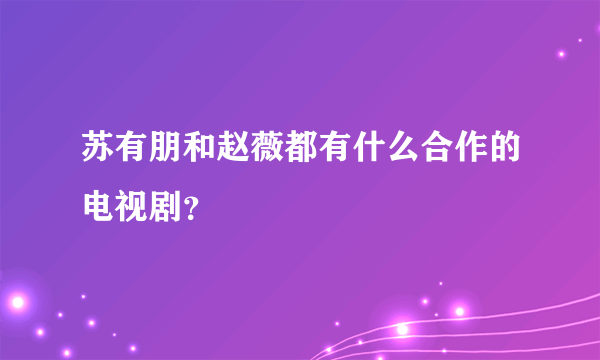 苏有朋和赵薇都有什么合作的电视剧？