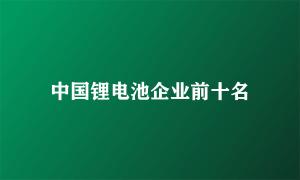 中国锂电池企业前十名