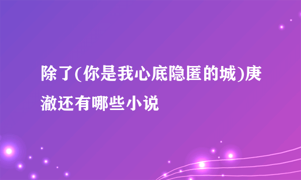 除了(你是我心底隐匿的城)庚澈还有哪些小说