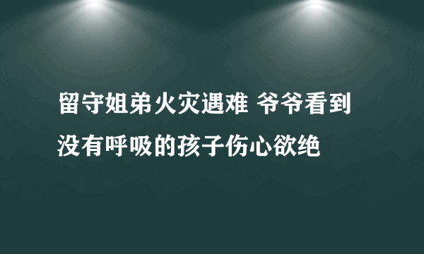 留守姐弟火灾遇难 爷爷看到没有呼吸的孩子伤心欲绝