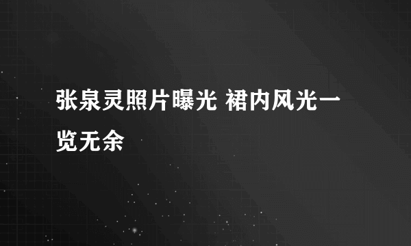 张泉灵照片曝光 裙内风光一览无余