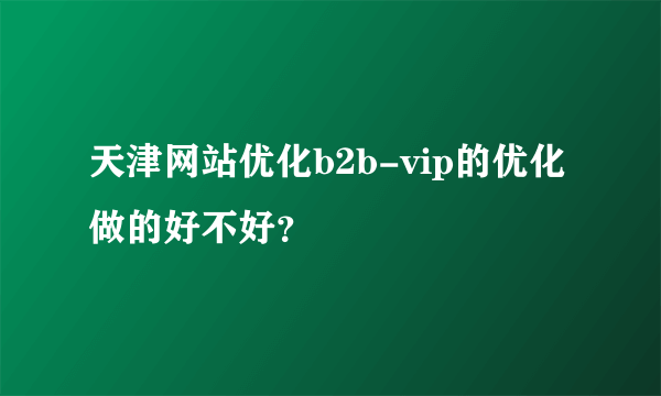 天津网站优化b2b-vip的优化做的好不好？