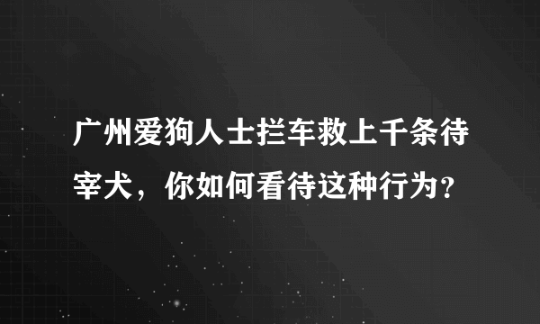 广州爱狗人士拦车救上千条待宰犬，你如何看待这种行为？