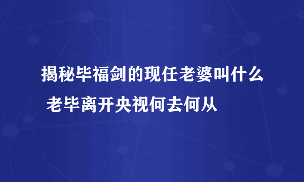 揭秘毕福剑的现任老婆叫什么 老毕离开央视何去何从