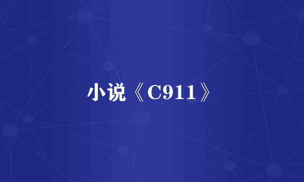 小说《C911》