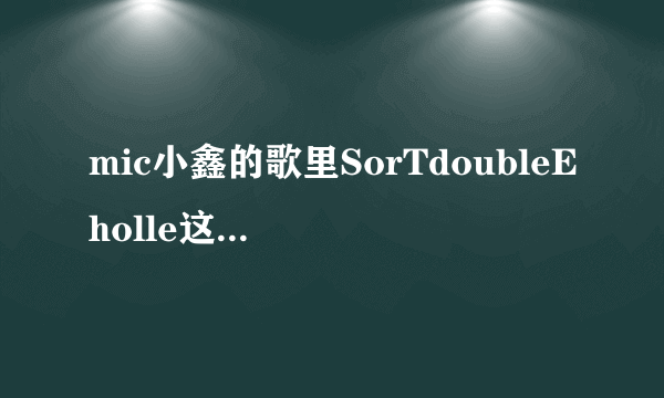 mic小鑫的歌里SorTdoubleEholle这句歌词是什么意思？