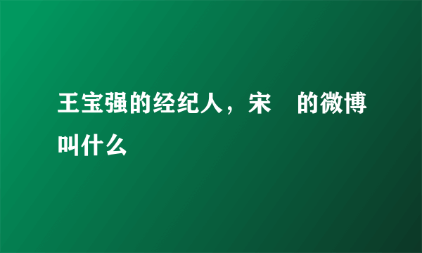 王宝强的经纪人，宋喆的微博叫什么