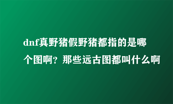 dnf真野猪假野猪都指的是哪个图啊？那些远古图都叫什么啊