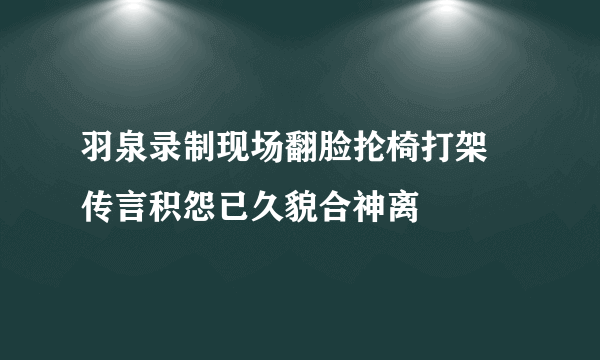 羽泉录制现场翻脸抡椅打架 传言积怨已久貌合神离