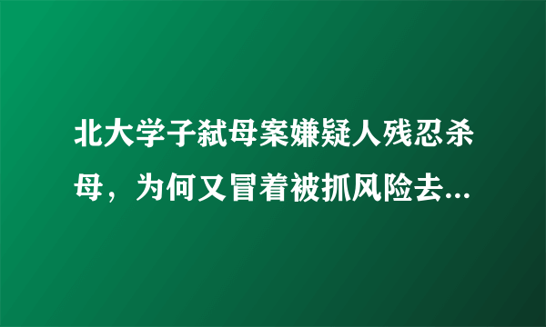 北大学子弑母案嫌疑人残忍杀母，为何又冒着被抓风险去机场送人？他到底是绝情还是多情？