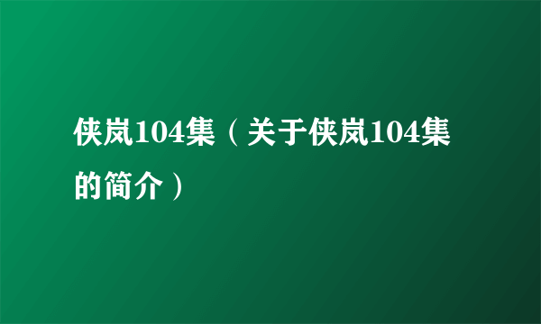 侠岚104集（关于侠岚104集的简介）