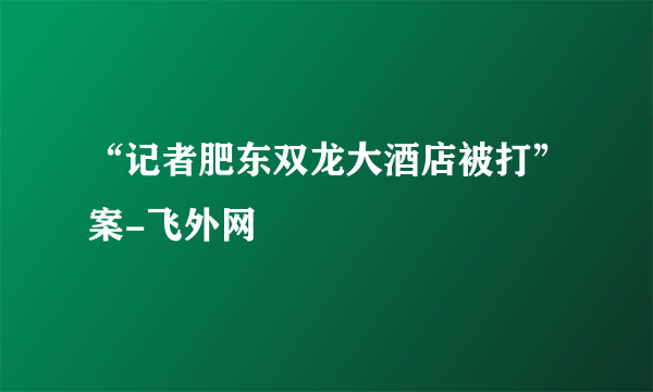 “记者肥东双龙大酒店被打”案-飞外网