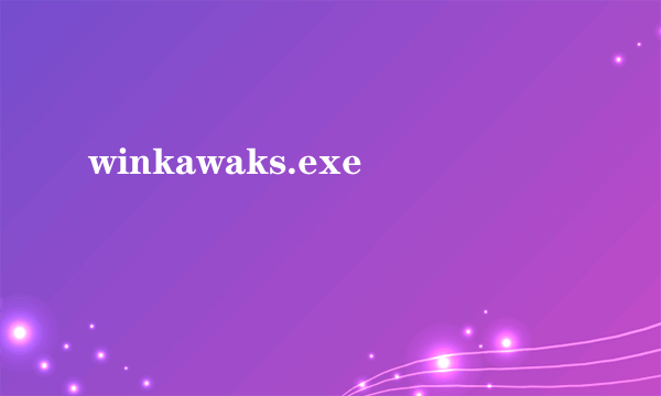 winkawaks.exe