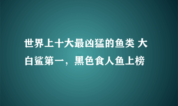 世界上十大最凶猛的鱼类 大白鲨第一，黑色食人鱼上榜