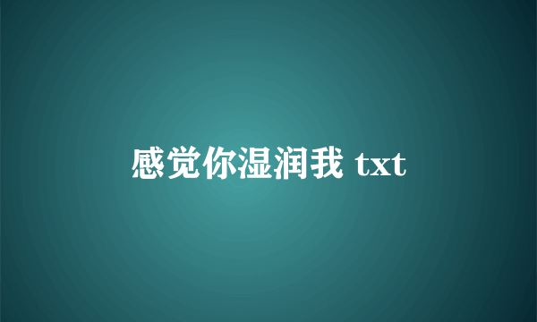 感觉你湿润我 txt