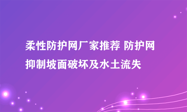 柔性防护网厂家推荐 防护网抑制坡面破坏及水土流失