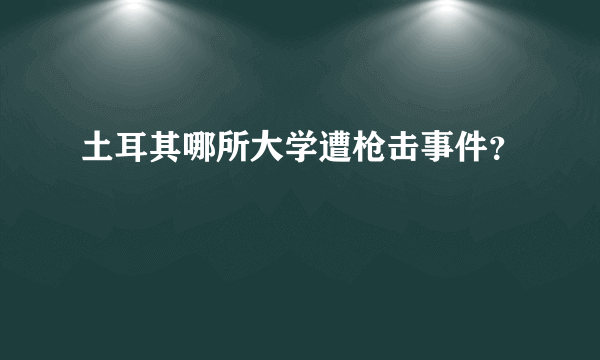 土耳其哪所大学遭枪击事件？