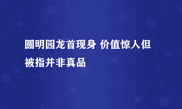 圆明园龙首现身 价值惊人但被指并非真品