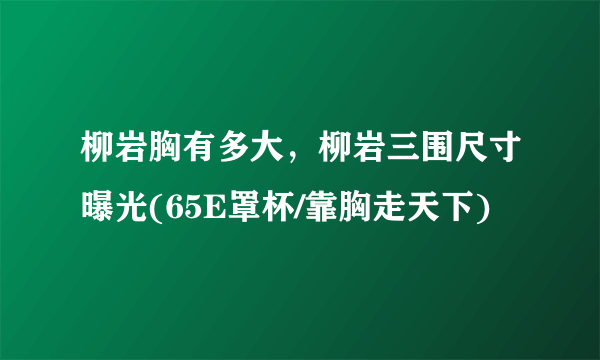 柳岩胸有多大，柳岩三围尺寸曝光(65E罩杯/靠胸走天下)