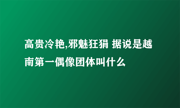 高贵冷艳,邪魅狂狷 据说是越南第一偶像团体叫什么