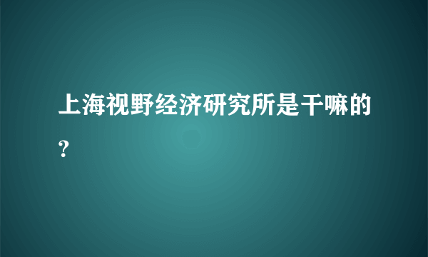 上海视野经济研究所是干嘛的？