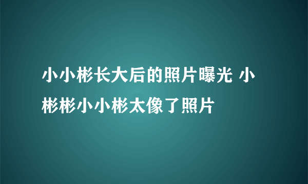 小小彬长大后的照片曝光 小彬彬小小彬太像了照片