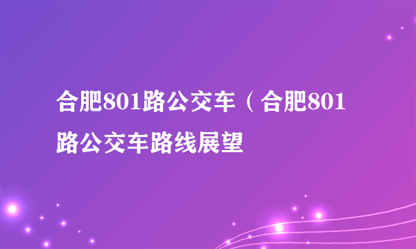 合肥801路公交车（合肥801路公交车路线展望