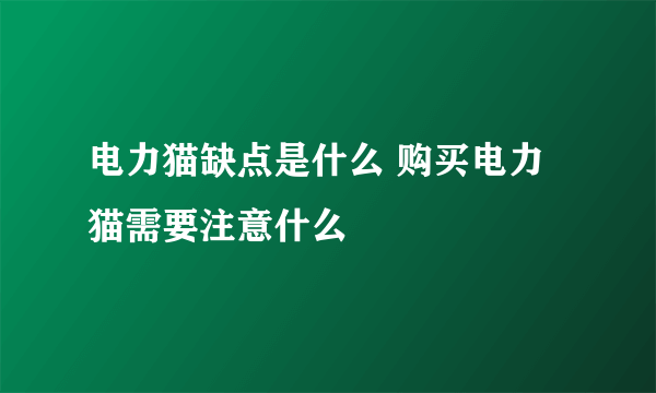 电力猫缺点是什么 购买电力猫需要注意什么