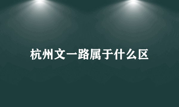 杭州文一路属于什么区