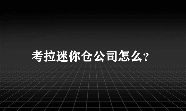 考拉迷你仓公司怎么？