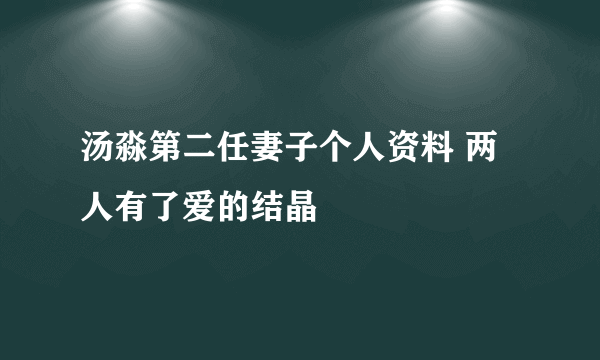 汤淼第二任妻子个人资料 两人有了爱的结晶