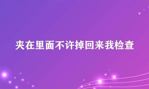 夹在里面不许掉回来我检查