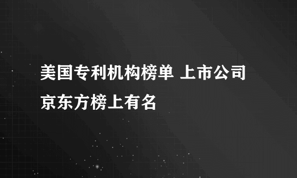 美国专利机构榜单 上市公司京东方榜上有名