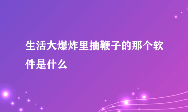 生活大爆炸里抽鞭子的那个软件是什么