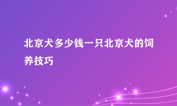 北京犬多少钱一只北京犬的饲养技巧