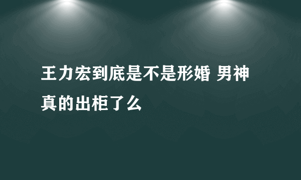 王力宏到底是不是形婚 男神真的出柜了么