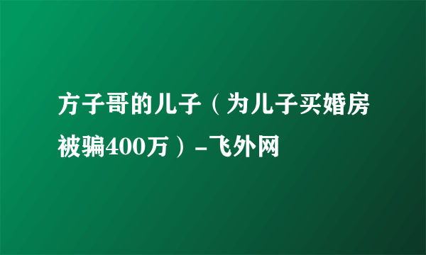 方子哥的儿子（为儿子买婚房被骗400万）-飞外网