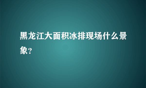 黑龙江大面积冰排现场什么景象？