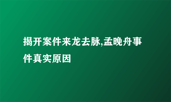 揭开案件来龙去脉,孟晚舟事件真实原因