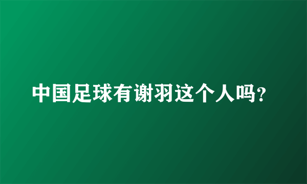 中国足球有谢羽这个人吗？