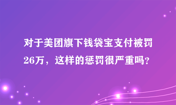 对于美团旗下钱袋宝支付被罚26万，这样的惩罚很严重吗？