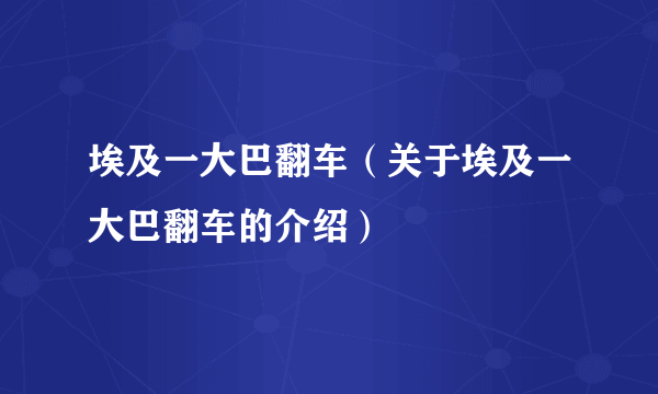 埃及一大巴翻车（关于埃及一大巴翻车的介绍）