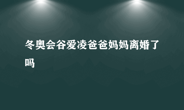 冬奥会谷爱凌爸爸妈妈离婚了吗