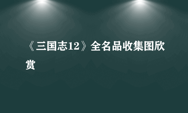 《三国志12》全名品收集图欣赏