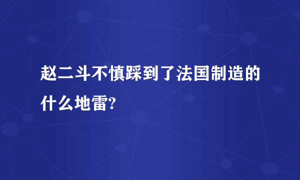 赵二斗不慎踩到了法国制造的什么地雷?