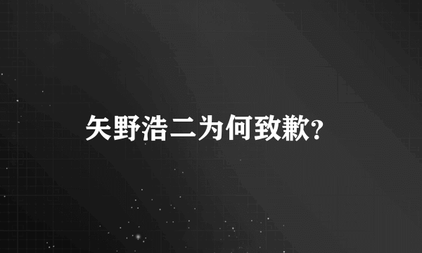 矢野浩二为何致歉？