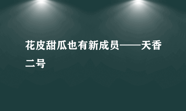 花皮甜瓜也有新成员——天香二号